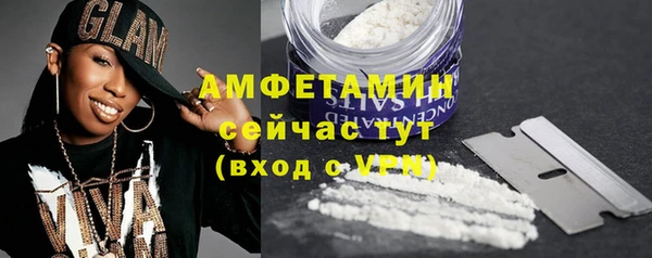 прущие грибы Краснослободск