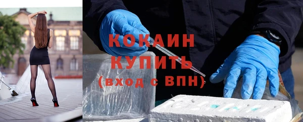 прущие грибы Краснослободск