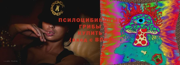 spice Коряжма