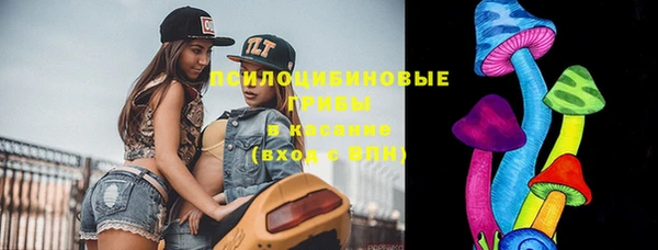 МДПВ Губаха