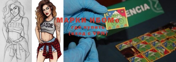 прущие грибы Краснослободск