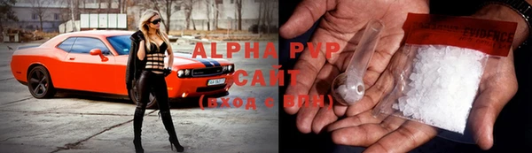 прущие грибы Краснослободск