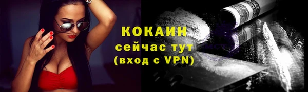 прущие грибы Краснослободск