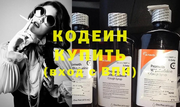 прущие грибы Корсаков