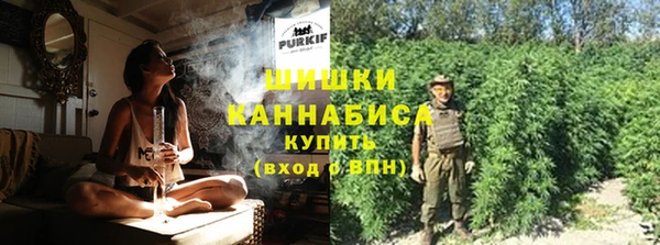 прущие грибы Краснослободск