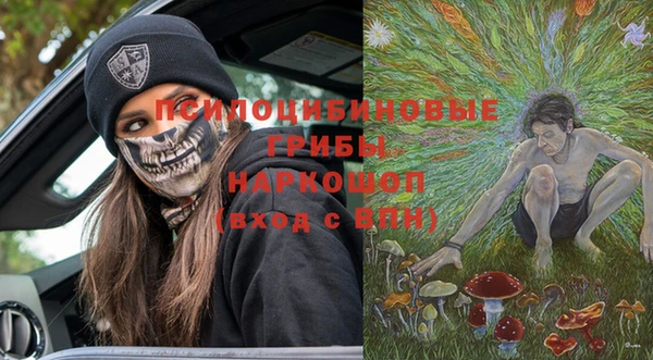ГАЛЛЮЦИНОГЕННЫЕ ГРИБЫ Красноперекопск