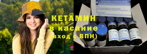 прущие грибы Краснослободск