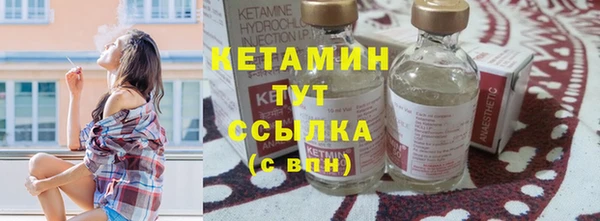 прущие грибы Краснослободск