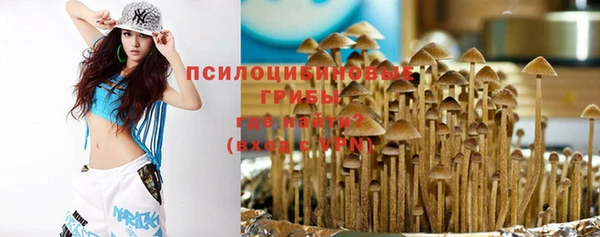 мескалин Кулебаки