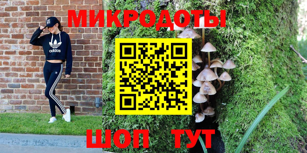 Галлюциногенные грибы Psilocybe  Вход с VPN  Кохма 