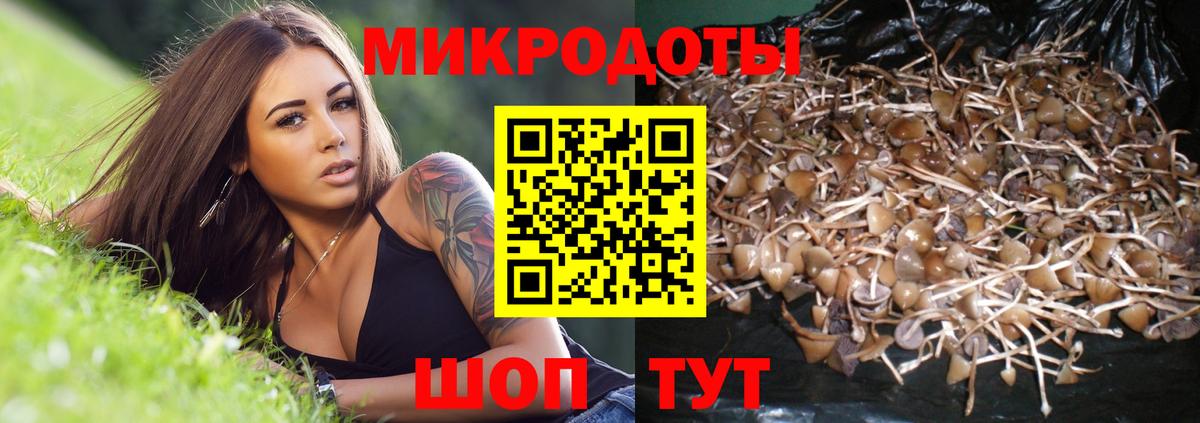 Псилоцибиновые грибы мухоморы Кохма